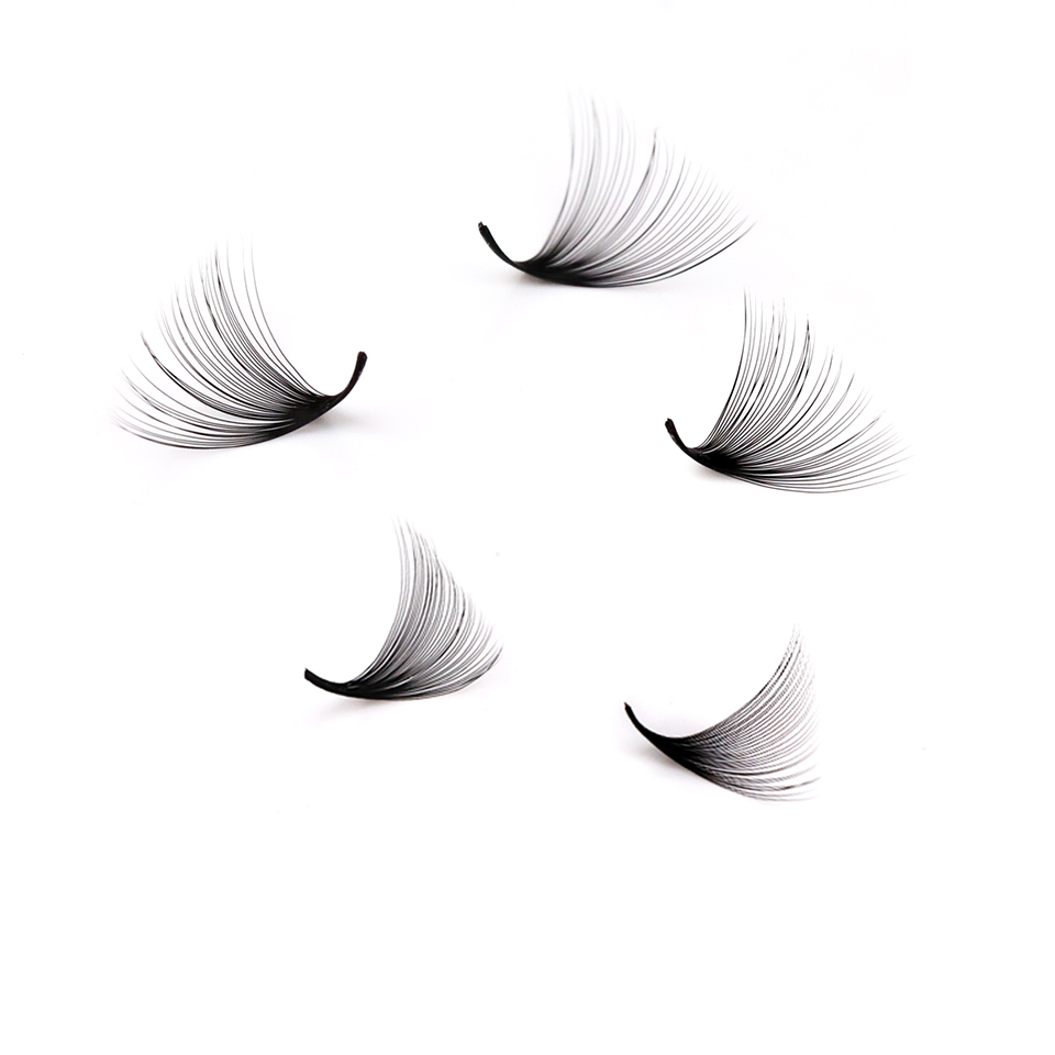 Lashprofessor XL Tray 3D 4D 5D - огляд і ціна Eyelash Extension Human Hair