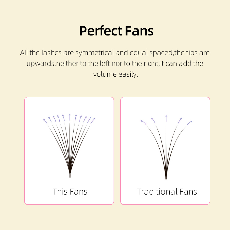Lashprofessor XL Tray 3D 4D 5D - огляд і ціна Eyelash Extension Human Hair