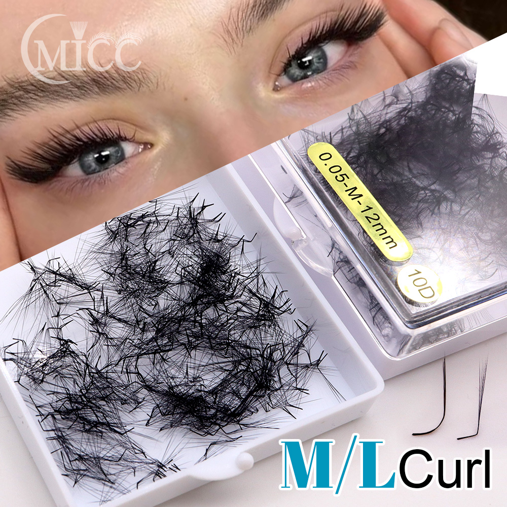 500 Fans 6D 6mm 10D M L Specia - огляд і ціна Eyelash Extension Fox Eye